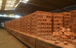 Nhà máy sản xuất gạch Tuynel Thụy Vân: Ứng dụng công nghệ vào sản xuất, nâng cao năng suất và chất lượng sản phẩm